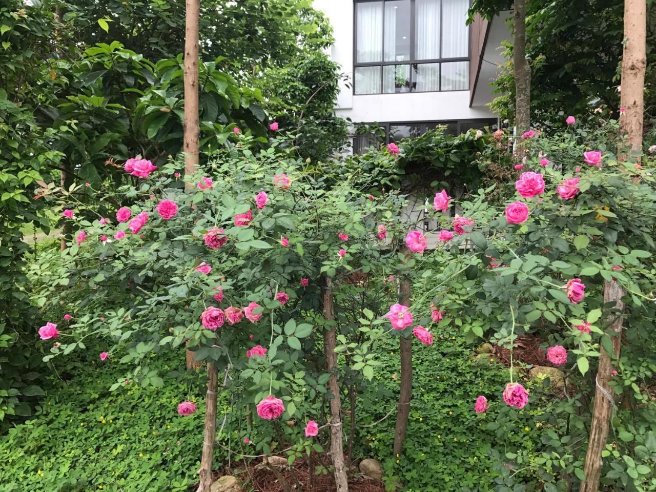 Flamingo Dailai - Hq Villa Ngoc Quang Buitenkant foto